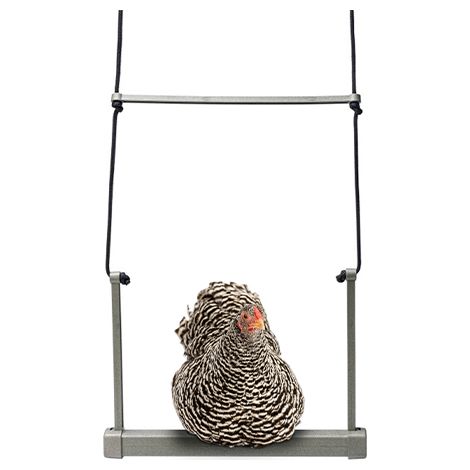 Columpio para Gallinas - Percha Columpio para Gallinas - Accesorio y Juguete para Aves de Corral