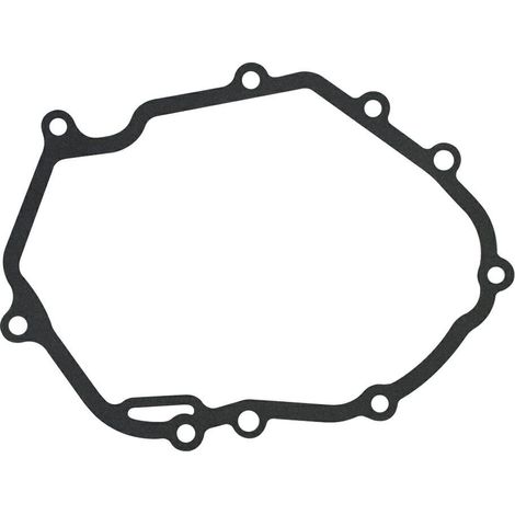 Guarnizione flangia motore rasaerba tagliaerba WBE0701 WBE0702 GGP STIGA 18550380