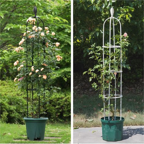 (Dimensions blanches assemblées : Diamètre 30 cm Hauteur 210 cm, support de rosier en boîte à brancher / en forme de U / Diamètre 11 mm) (1/5)