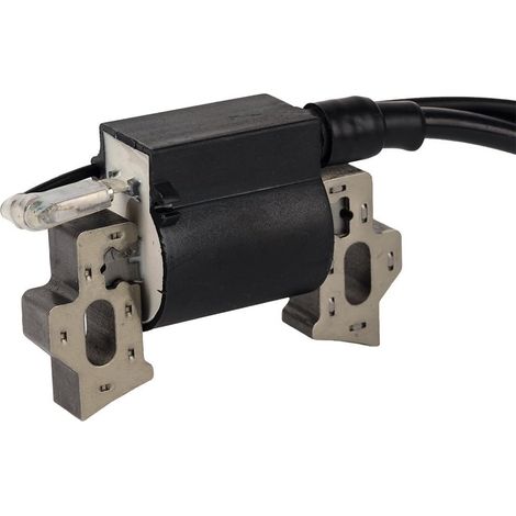 S-giant Interrupteur d\'arrêt du moteur 36100-ZE1-015 36100-883-005 - Avec bobine d\'allumage - Pour Honda GX120 GX160 GX200, moteurs 5,5 CV et 6,5 CV (1/3)