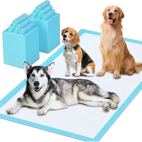 Ecleanfy - Lot de 40 alaises jetables taille large. Protection hygiénique optimale, parfait pour apprentissage propreté des chiens adultes. (1/5)
