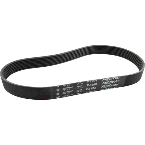 Courroie Hutchinson 8 PJ 608 MAEL Flexonic