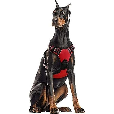 XL-Hundegeschirr, rote, reflektierende, verstellbare Anti-Zug-Weste für große Hunde, Frontbefestigung mit Leinenhaken für Autofahrten, American Staffordshire Terrier, Border Collie (1/5)