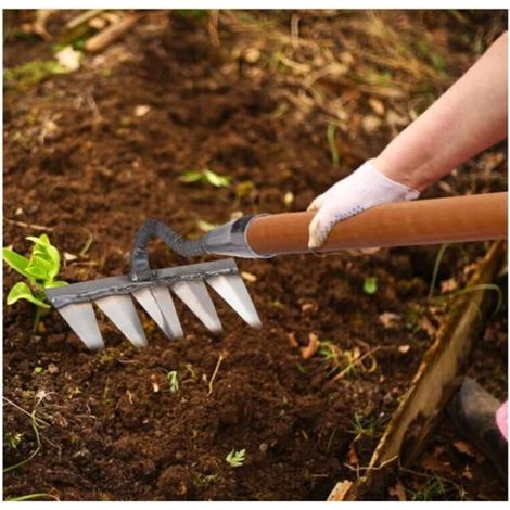 Garden Rake, 5-Tine Steel Weeding Rake, Hand Garden Tool, Manual Lawn Scarifier (Handle Not Included)