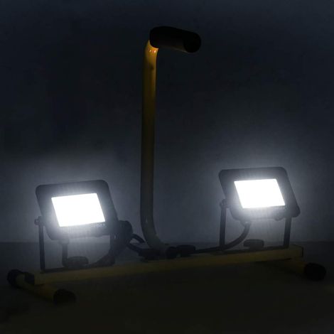 Projecteur à LED avec poignée 2x20 W Blanc froid (1/5)