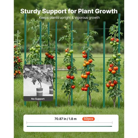 Tuteur Plante 1,8 m Tuteur Plante Grimpante 50 PCS Tuteurs à Tomates Jardin pour Soutien Plantes Grimpantes Légumes Extérieur, Méta… (1/5)