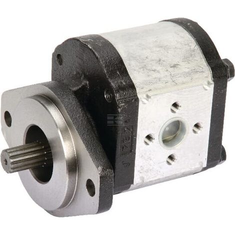 Pompa ad ingranaggi Polaris 30 CASAPPA PLP3022D004S5 (1/4)