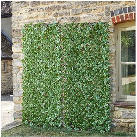 Ivy Leaf Trellis (180cm x 90cm) (1/4)