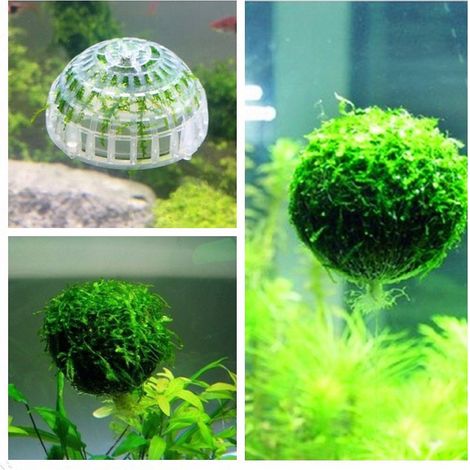 Halbkugelförmiger Kunststofffilter für Schaumstoff, Schaumstoffhalter, dekorative Aquariumkugel (1/5)