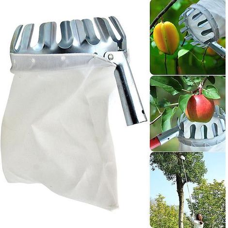 Obstpflücker aus Edelstahl, multifunktionales Pflückwerkzeug (1/5)