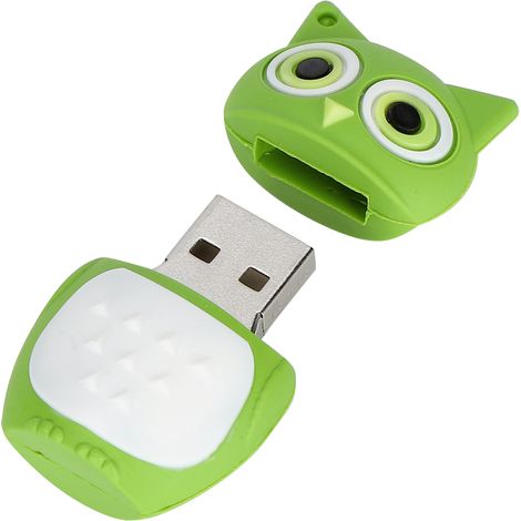 Clé USB 64 Go à motif hibou vert - Capacité de stockage rapide (1/5)