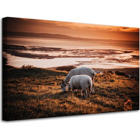 Lienzo impreso con la imagen de animales pastando: ovejas, 80x50 cm.