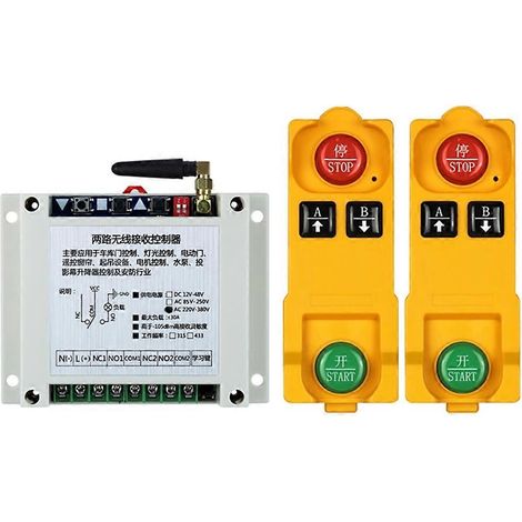 Télécommande industrielle sans fil RF 315/433 MHz, 2 canaux, 220-380 V CA - Double télécommande - 315 MHz