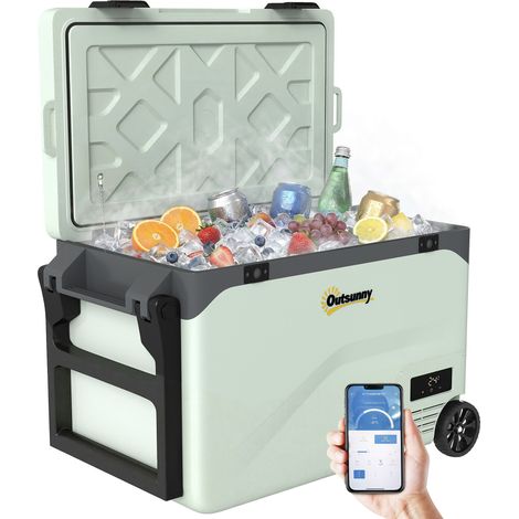 Frigorifero per auto a compressore da 42,5 litri con controllo tramite app, da -20 °C a 20 °C, verde.