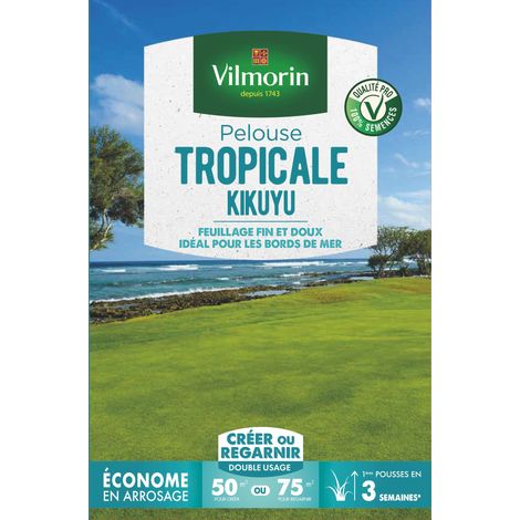 Vilmorin – Semences de gazon bord de mer Kikuyu – 500 g – Pureté 10x supérieure – Taux de germination 10% – Pour 75m² (1/3)