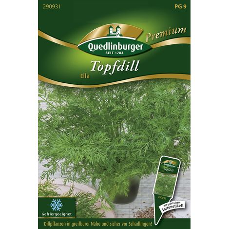 Quedlinburger Saatgut – Aneth en pot « Ella » – Graines d'herbes aromatiques, variété naine, hauteur env. 25 cm (1/2)