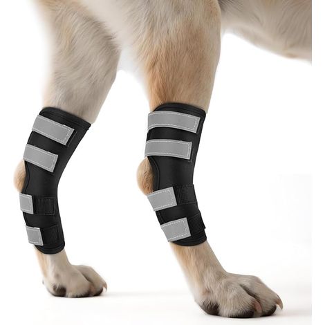 Pack de 2 rodilleras para perros, soporte para patas traseras con correas reflectantes, férula que proporciona soporte articular para la recuperación de lesiones y esguinces, S