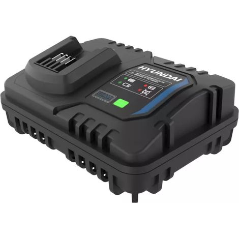 caricabatterie singolo rapido hyundai 20v 4a - cod. 25897 (1/4)