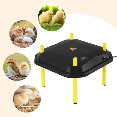 TolleTour Placa calefactora para pollitos de 42 W, 40 x 40 cm, con regulador de temperatura, negra/amarilla, para gallinas