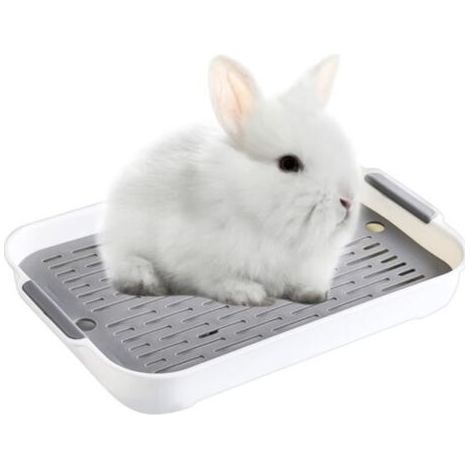 Katzentoilette – Nicht spezifiziert – 27 x 18,5 x 3,7 cm – PP-Kunststoff – Für Kaninchen und Nagetiere (1/5)