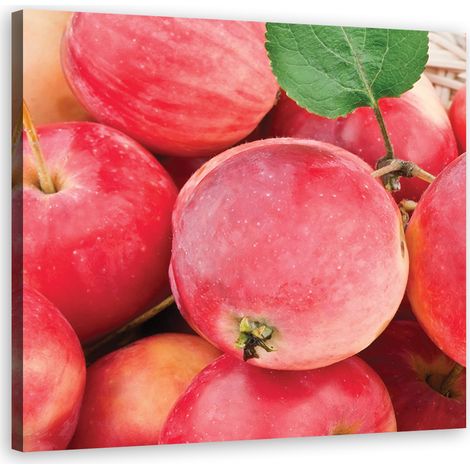 Quadro su tela, Macro Apple - 30x30 (1/5)