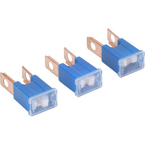 Adecuado para 10 fusibles macho rectos de 100 A, fusibles automotrices de acción lenta de 32 V.