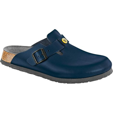 Sabot ESD Boston