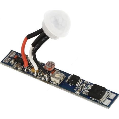 Sensore Di Movimento PIR + Light Sensore Crepuscolare 12V 24V 8A Regolabile