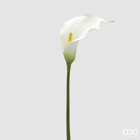 EDG Calla Ramo H 75 Cm