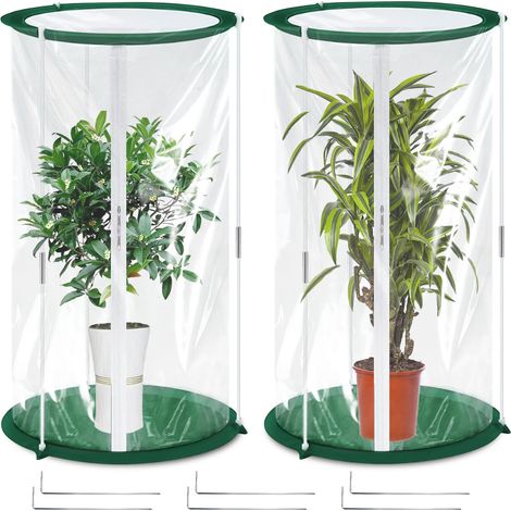Lot 2 mini serres 50 x 30 cm Tente d hivernage plantes Petite serre légumes fleurs champignons film transparent Petite serre pop up (1/4)