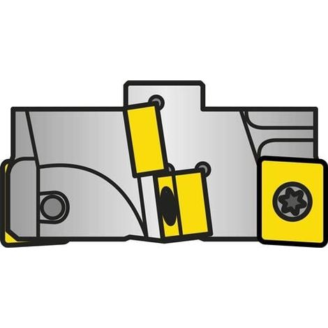 Wechselkopf ISO EH8036-SL-C Bruttogewicht 785,8g PRAMET (1/2)