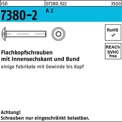 ISO 7380 -2 A 2 M 8 x 30 A 2 S 100 Stk