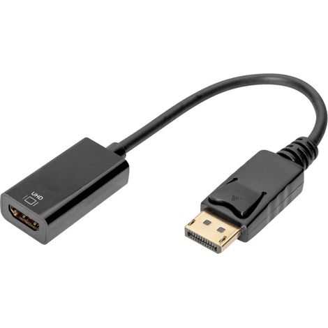 Câble de raccordement DisplayPort / HDMI Fiche mâle DisplayPort, Prise femelle HDMI-A 0.20 m noir DB-340415-002-S blindage double, blindé C S667612 (1/4)