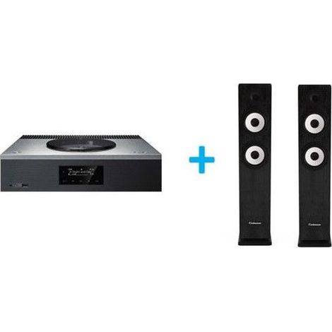 Hi-Fi-Verstärker Technics SA-C600EG-S Silber + ein Paar Cabasse Jersey MT32/2 Säulenlautsprecher Schwarz Ebenholz