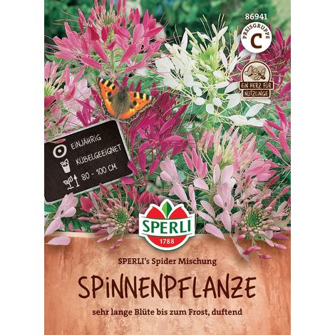 Spinnenpflanzen SPERLI's Spider Mischung - Blumensamen (1/2)