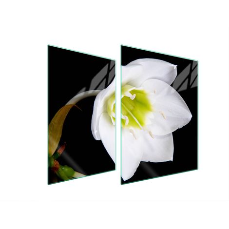 PIASTRA PROTETTIVA IN VETRO PER STUFA 70x52 ORCHIDEA (1/5)