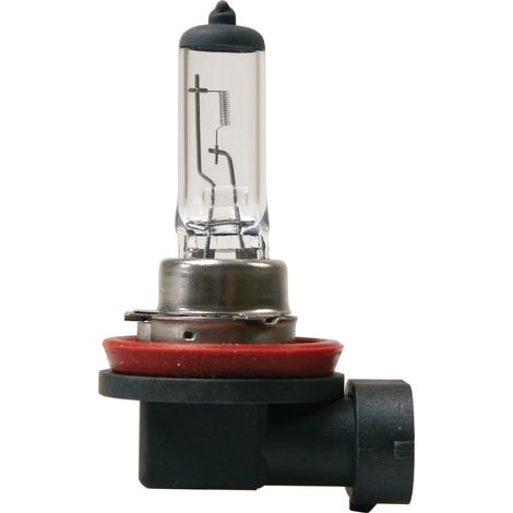 Lampada alogena H11 55w 1 pezzo (1/4)