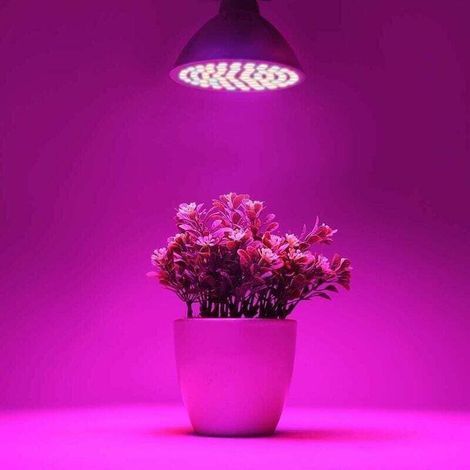 30W 40LED Élèvent La Lumière Ampoule - à Spectre Complet E27 LED Plante Ampoule pour,7 Longueur d'Onde -Applicable à Les Plantes D'intérieur, Serres, Jardins, Hydroponie, Aquarium (1/3)
