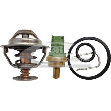 3RG 82224 KIT TERMOSTATO Y SENSOR (5PCS)