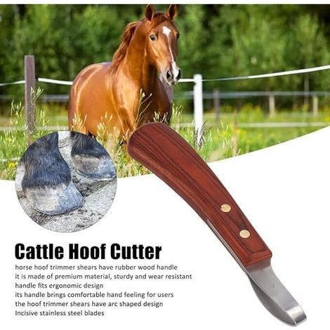 Couteau à Sabot Boucle de Maréchal-ferrant Couteau Ovale Couteau à Sabot de Cheval Lame en Acier Inoxydable Manche en Bois de Caoutchouc Coupe-Sabot Polyvalent pour Bovins (1/3)