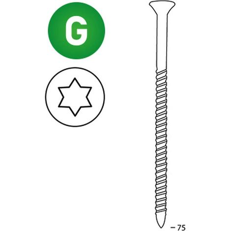 2 000 Vis Galvanisées Torx 16° (Tx) (Scrail) - 28/32x75 mm - D-Work