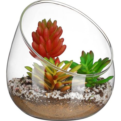 Vase en Verre Micro Paysage, Bol en Verre Biseauté, Pots De Fleurs pour Plantes Succulentes pour Plantes Succulentes, Mousses, Micro-Paysage (1/5)