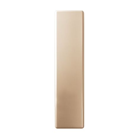 PLACCA AVVOLGITORE CIECA UNIVERSALE - ABS ORO MM 65X250- 5 pezzi