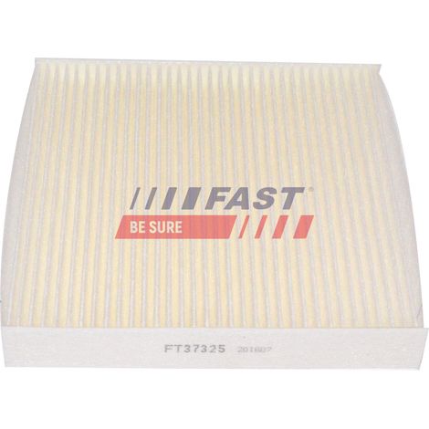 Kabinenfilter FT37325 schnell