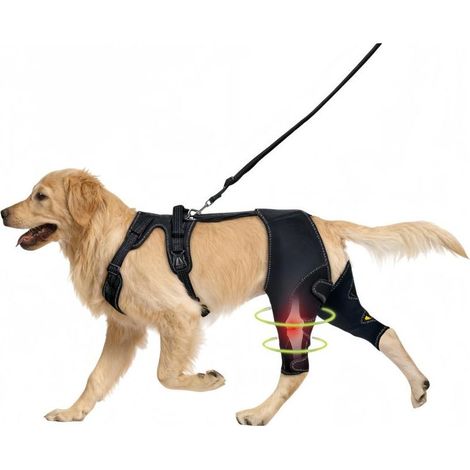 Kniebandage für Hunde – Doppeltes Hinterbeingeschirr, zur Linderung von Kreuzbandrissen und Arthritis, verstellbar, große Größe (1/5)