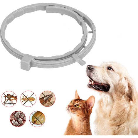 Collier anti-moustiques ajustable pour chats et chiens, collier anti-puces et anti-acariens, emballage OPP - pour chiots. (1/5)
