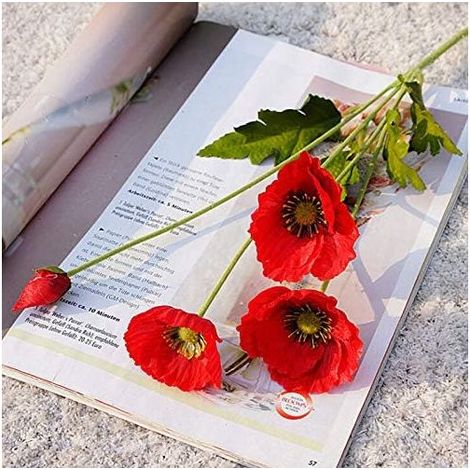 Lot de 10 coquelicots artificiels rouges en soie avec grande fleur réaliste pour décoration de jardin et de mariage - Rouge H317 (1/5)