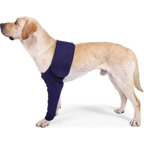 Manchon de Protection Anti-Léchage pour Chiens, Manchons de Récupération Chirurgicale pour Chien, pour Blessure à la Jambe Antérieure des Animaux Domestiques(Bleu, M)