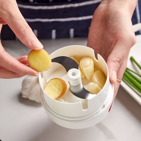 Mini extracteur d'ail manuel pour la cuisine, robot culinaire pour bébé, extracteur d'ail + lames (1/5)