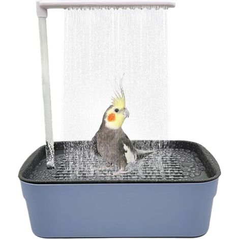 Baignoire automatique pour perroquet avec douche, baignoire à oiseaux, grande baignoire électrique USB, fontaine de douche pour perruche, cacatoès (1/5)